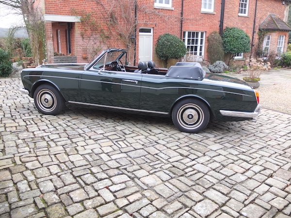 Classics from Terence Morley